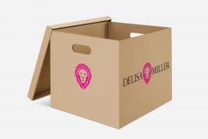 Creative Agency Manchester | Delisa Miller | Moving Box